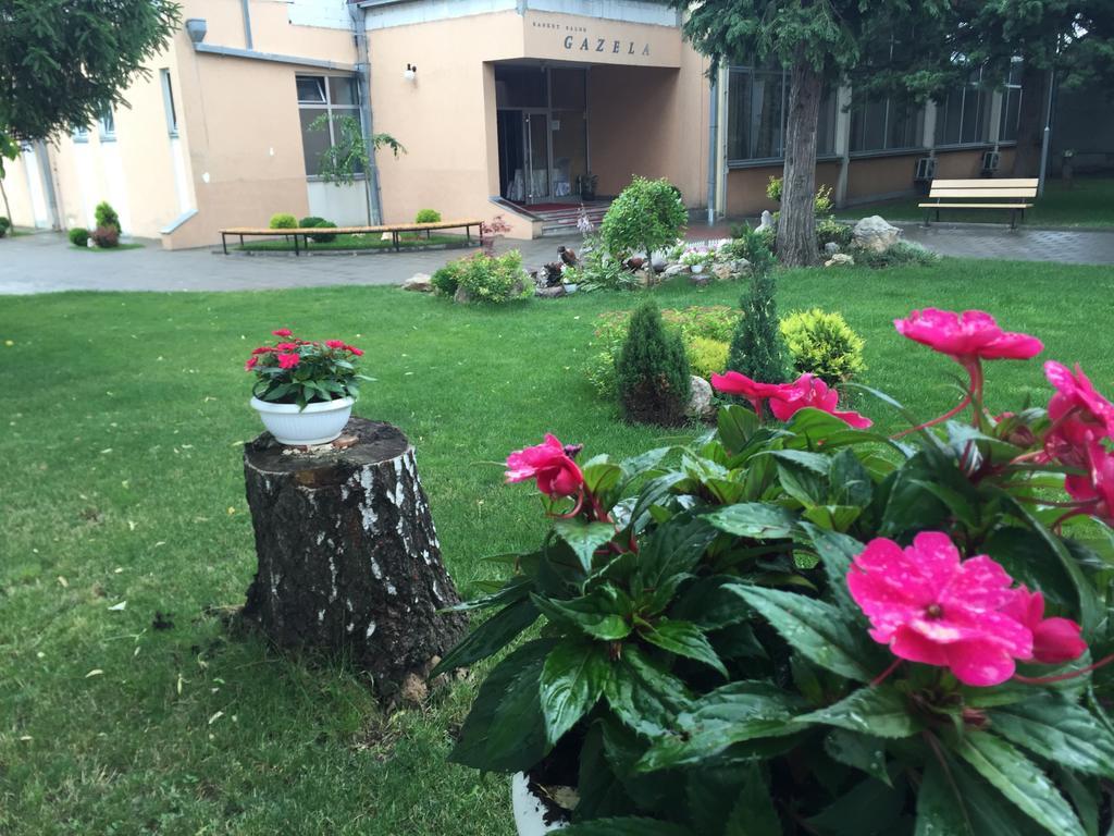 Prenociste Gazela Bed & Breakfast Pirot Dış mekan fotoğraf