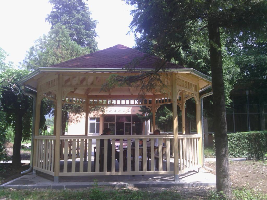 Prenociste Gazela Bed & Breakfast Pirot Dış mekan fotoğraf