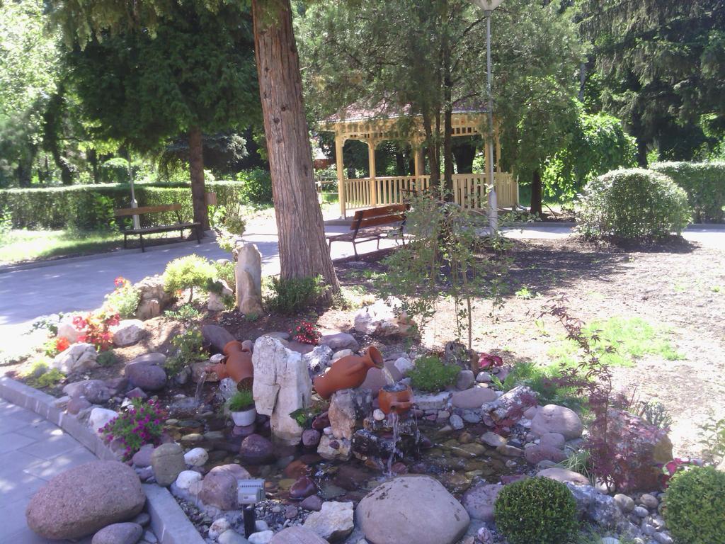Prenociste Gazela Bed & Breakfast Pirot Dış mekan fotoğraf