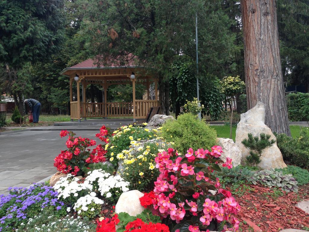 Prenociste Gazela Bed & Breakfast Pirot Dış mekan fotoğraf