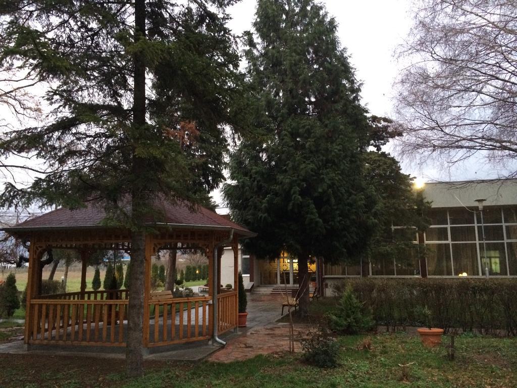 Prenociste Gazela Bed & Breakfast Pirot Dış mekan fotoğraf